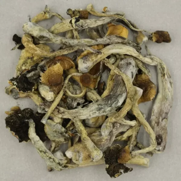 shrooms for sale near me