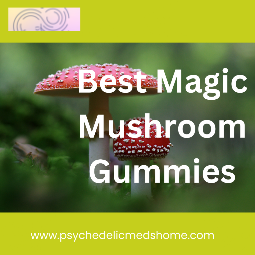 Best Magic Mushroom Gummies