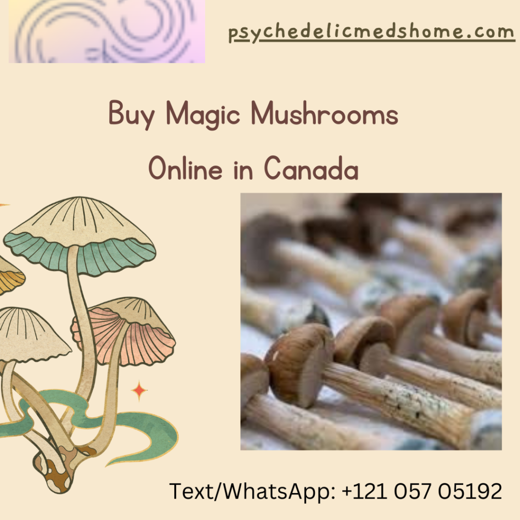 Buy Magic Mushrooms Online in Canada