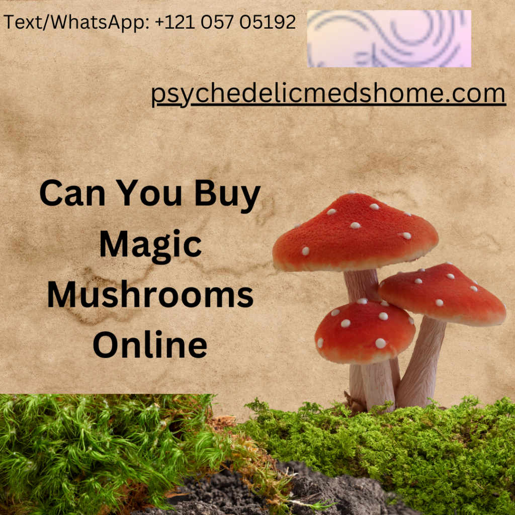 Can You Buy Magic Mushrooms Online