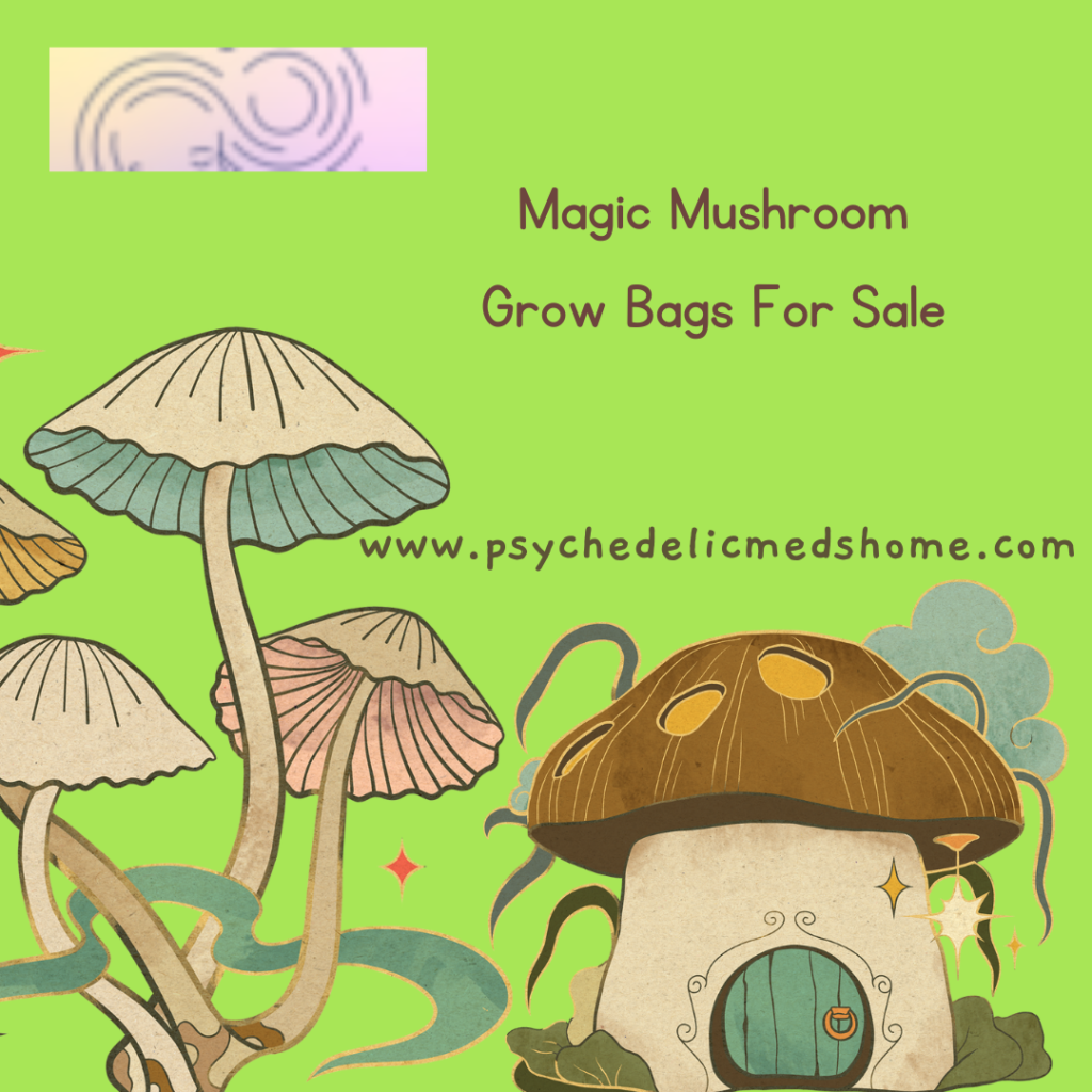 Magic Mushroom Grow Bags For Sale