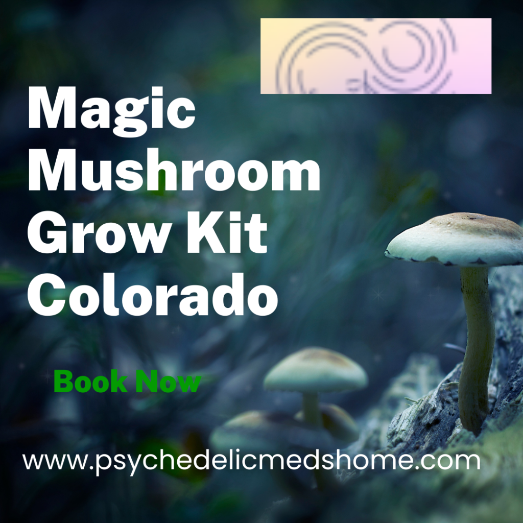 Magic Mushroom Grow Kit Colorado